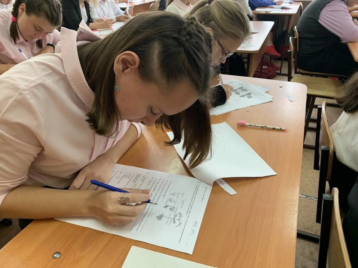 Https student edu ru впр. ВПР 2022 осень. Проведение ВПР В школах перенесено на осень 2022 года. ВПР осенью 2022. Контрольная в школе.