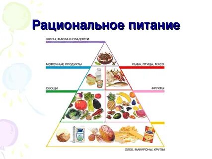Правильное питание человека это