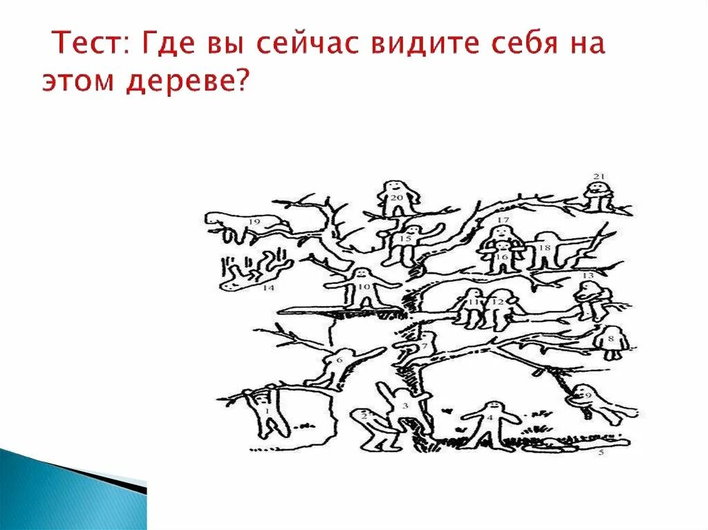 Результат теста дерево. Методика дерево с человечками. Проективная методика дерево с человечками. Тест где вы сейчас видите себя на этом дереве. Где вы на этом дереве.