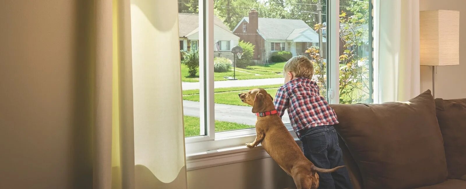 Окно для собаки в двери. Dogs looking out of the Window. Can i open the Window. Слим дог дети. I looked out of the window