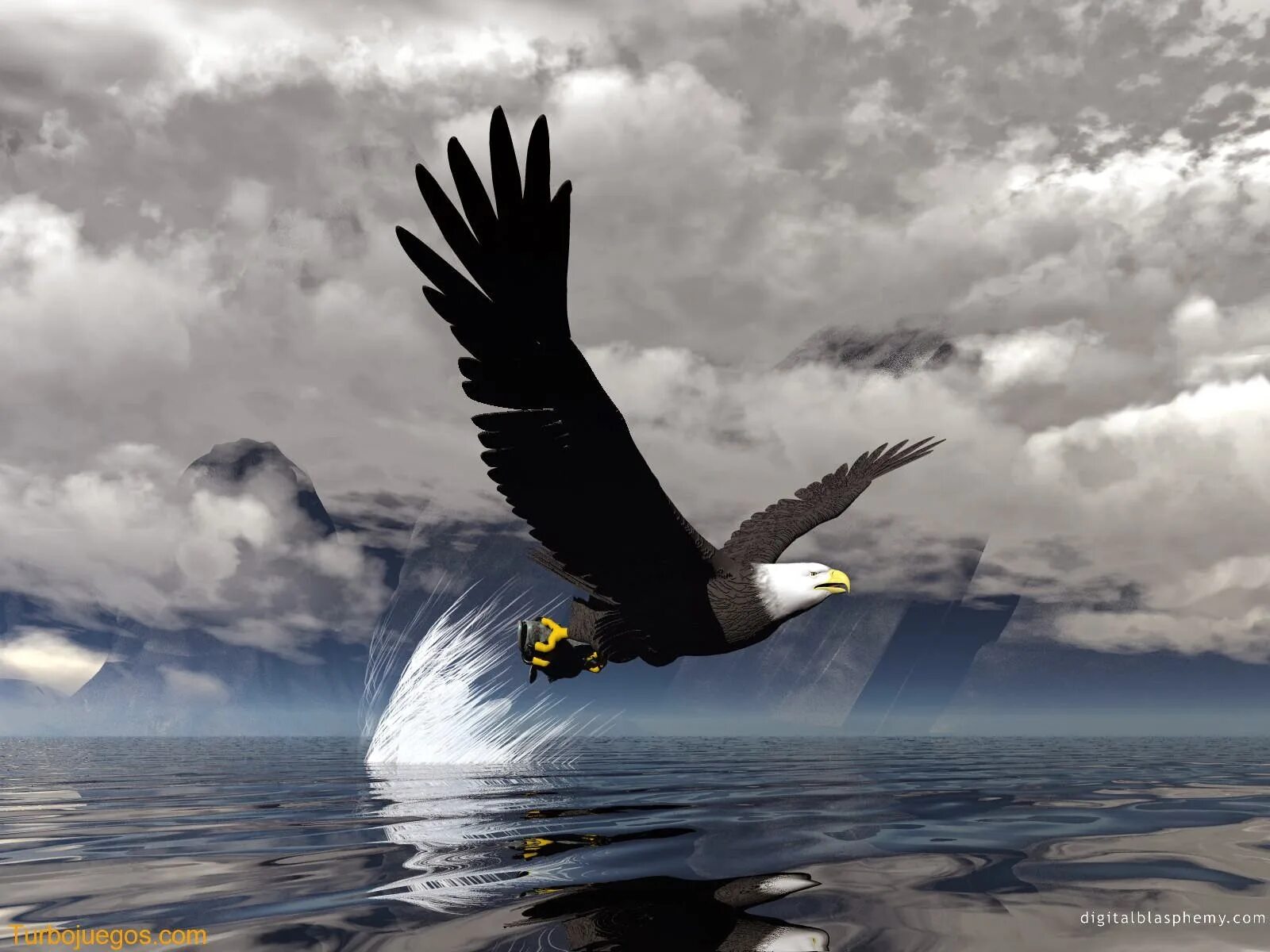 Способность птиц летать всегда привлекала человека основная. Парящий Орел. Орел в небе. Орел в полете. Птица в полете.