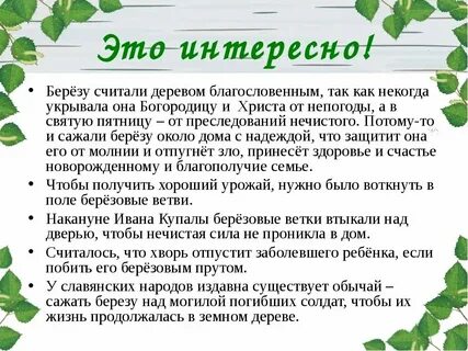 История создания березы