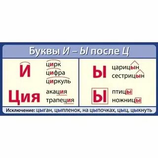 Е ы после буквы ц