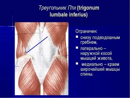 Треугольник пети