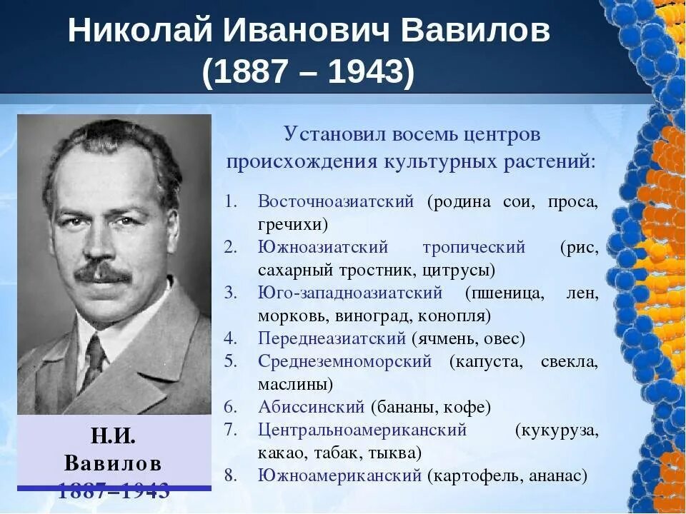 Примеры иллюстрирующие достижения отечественных ученых. Н. И. Вавилова его достижения.