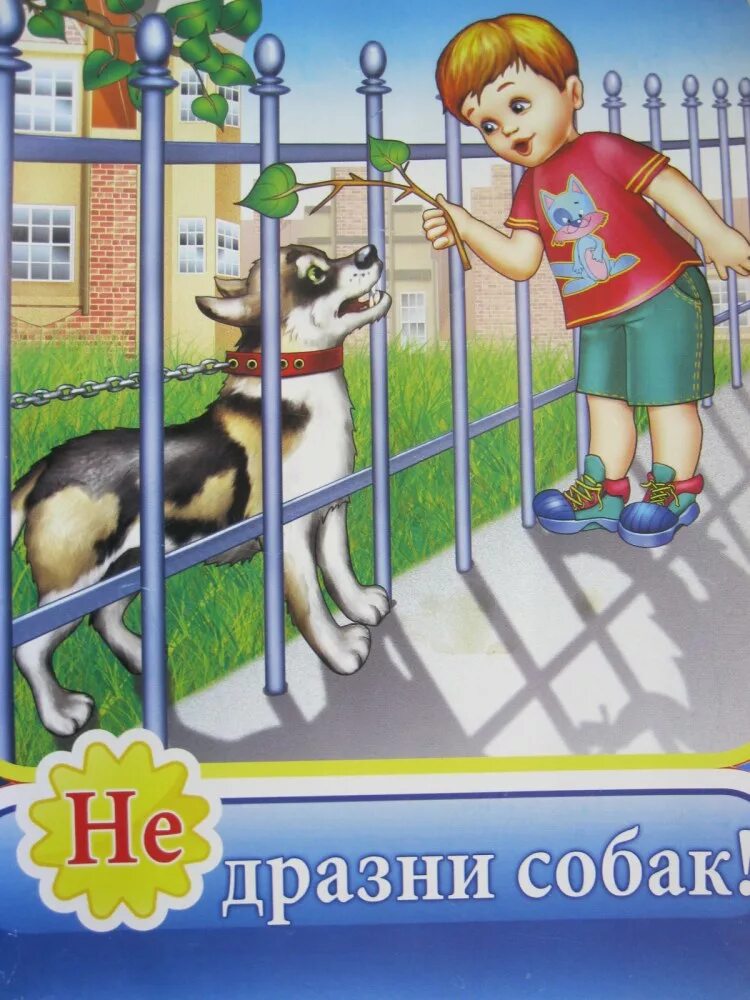 Песня не дразните собак не гоняйте. Безопасность собаки. Не дразни собак. Картинка нельзя дразнить собак. Не дразни собак рисунок.