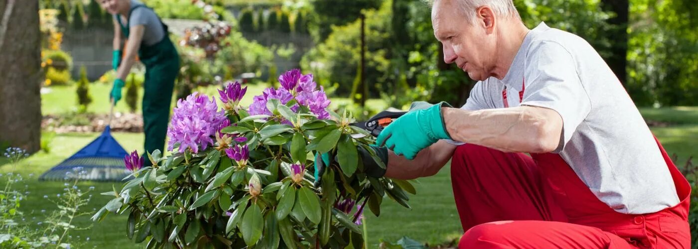 помощник по хозяйству на дачу. помощница по хозяйству с проживанием. помощник по хозяйству с проживанием. найти работу в москве по хозяйству. садовник на дачу с проживанием.