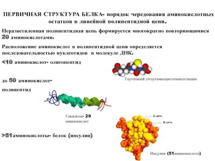 Препятствует образованию α спирали аминокислотный остаток