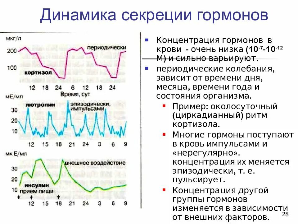 Гормоны спб