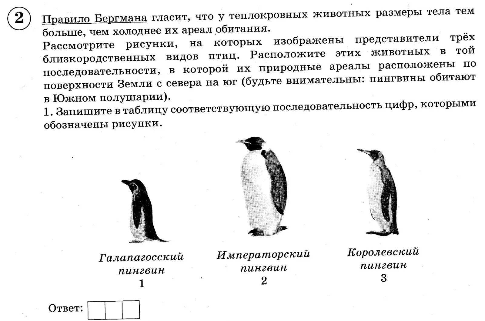Комплексная работа пингвины ответы. На рисунке изображен представитель. Территория обитания пингвинов ВПР. Королевский Пингвин ареал обитания.