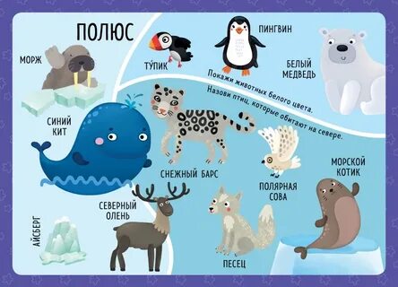 Разные полюса