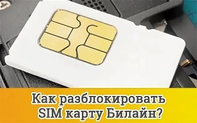 Пин сим карты. Как разблокировать SIM-карту Билайн. Коды Puk SIM Билайн. Как разблокировать карту билайн