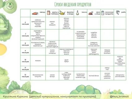 Со скольки можно кабачок
