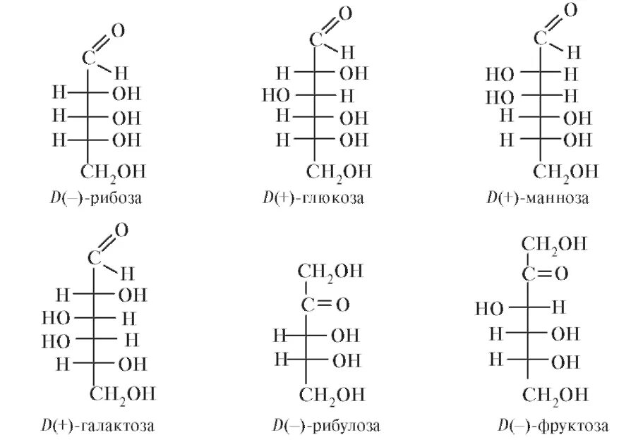 Строение Глюкозы, маннозы, галактозы, фруктозы. Структурные формулы Глюкозы фруктозы и галактозы. Глюкоза манноза галактоза фруктоза формулы Фишера. Строение Глюкозы фруктозы галактозы. Глюкоза галактоза рибоза