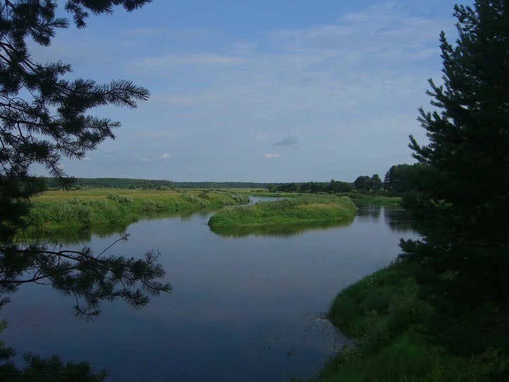 Река Молога Пестово. Река Молога Новгородская область Пестовский район. Река Молога Тверская область. Река малуга Пестовский район. Молога притоки