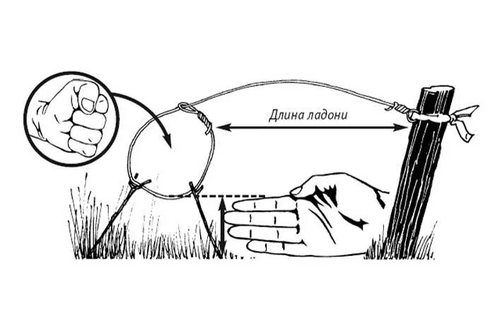 Сделать петлю своими руками. Как изготовить силки на фазана. ЛОВУШКА для фазана на петлю. Ловля фазана на петли. Как ставить силки на фазана.