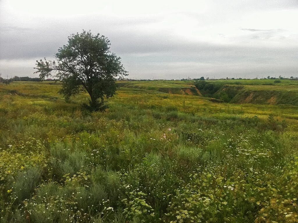 Большой карай Романовского района Саратовской области. Село большой карай Романовского района Саратовской области. Большой карай Саратовская область Романовский район Хопер. Гора богатырка большой карай.