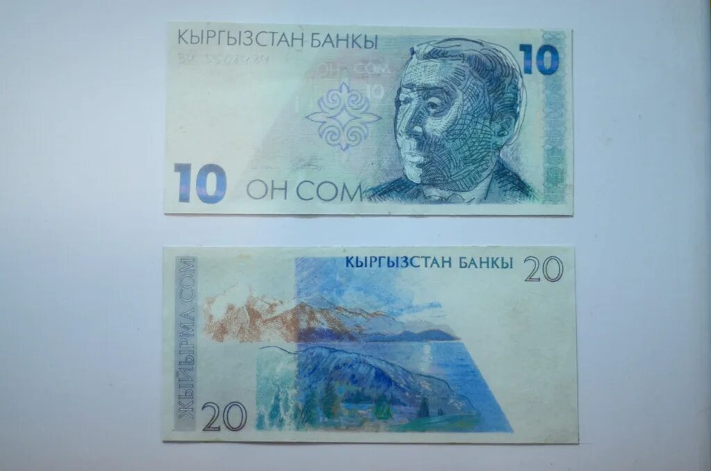 Сом валюта. Сом Кыргызстан. Киргизские сомы в рубли. Кыргызская валюта сом.