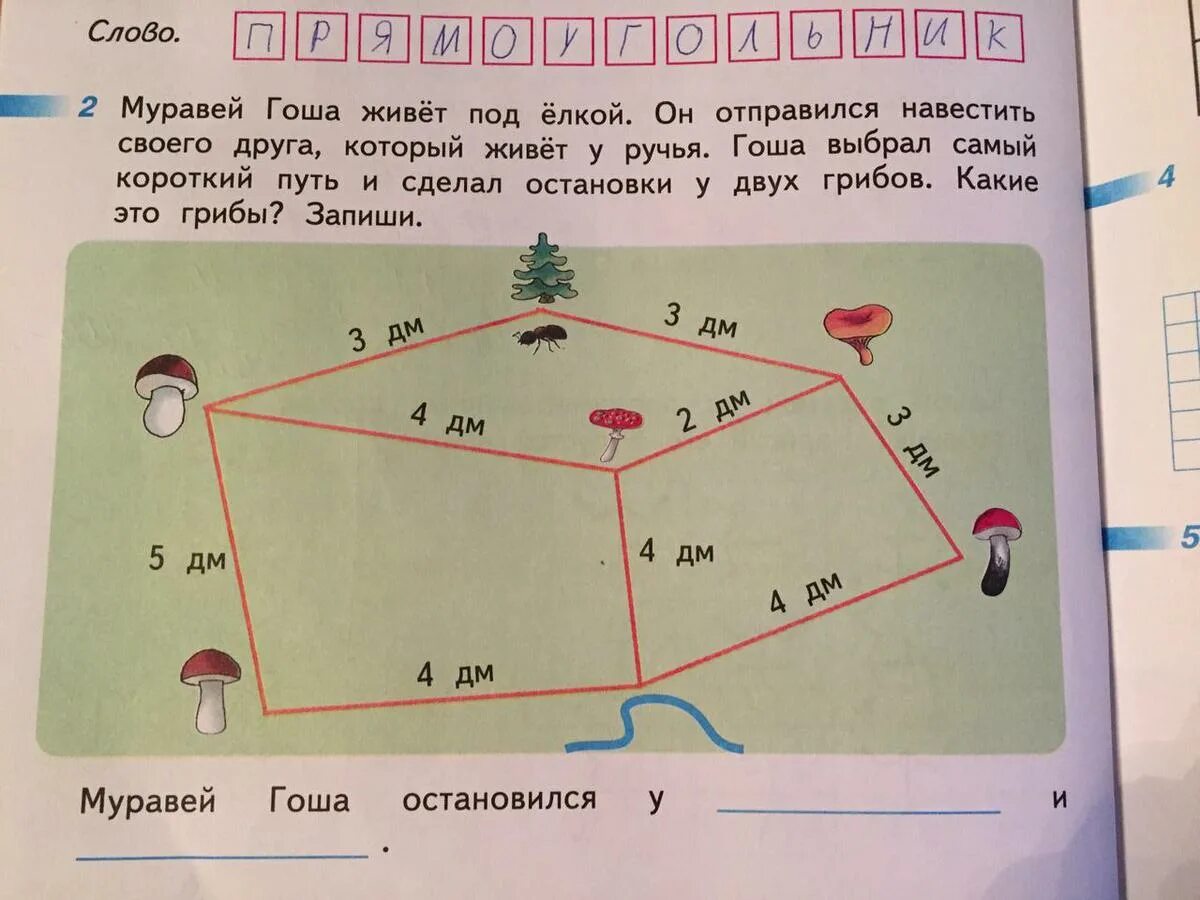 Доехать самый короткий путь. Задания про муравьев. Муравей Гоша живет под елкой он. Задачи по математике 2 класспро муравьёв. Муравей Гоша живёт под ёлкой он отправился навестить своего друга.