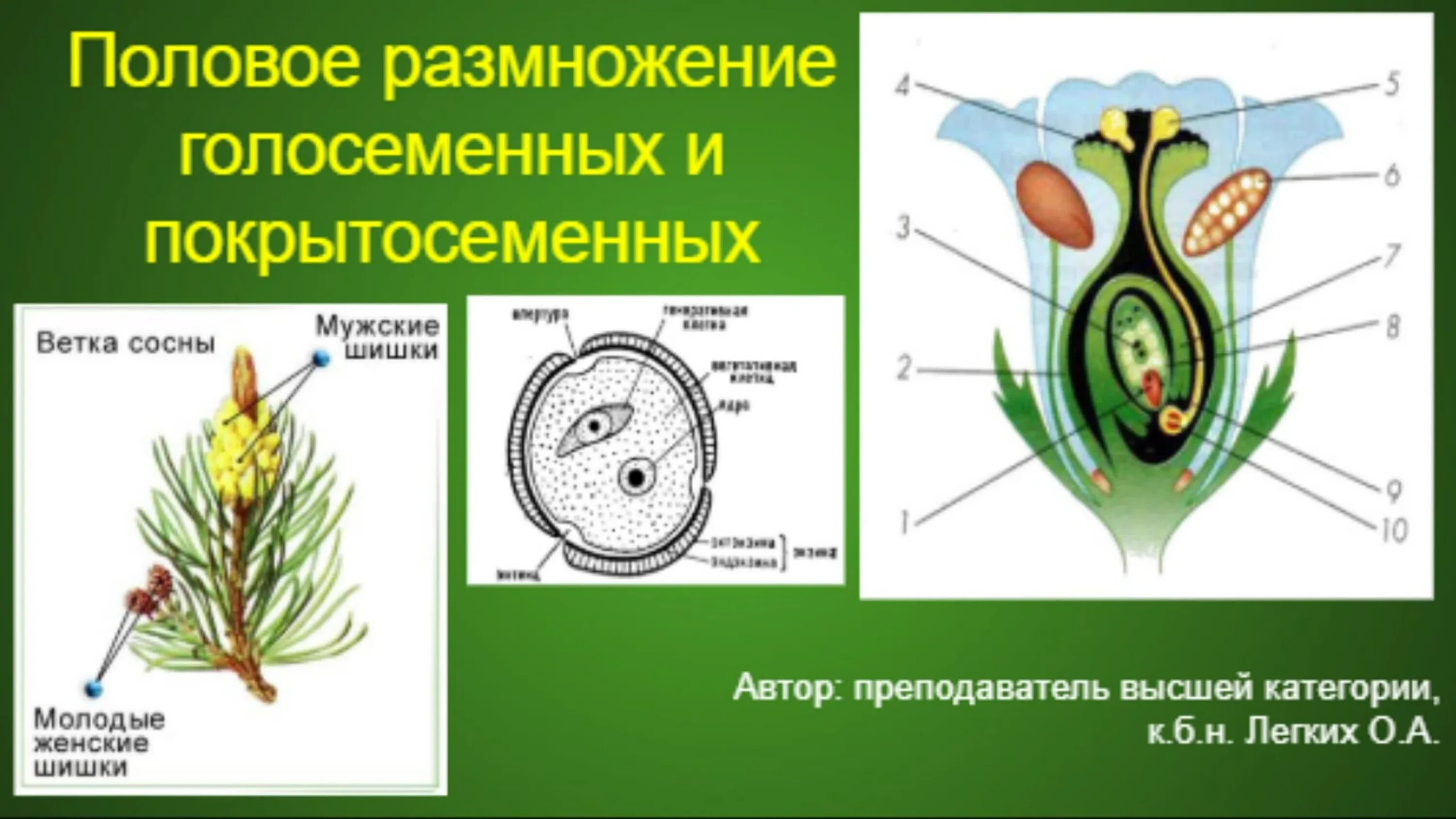 Биология 7 класс размножение развитие