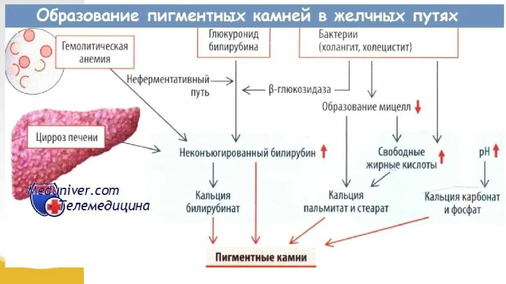Желчные пигментации