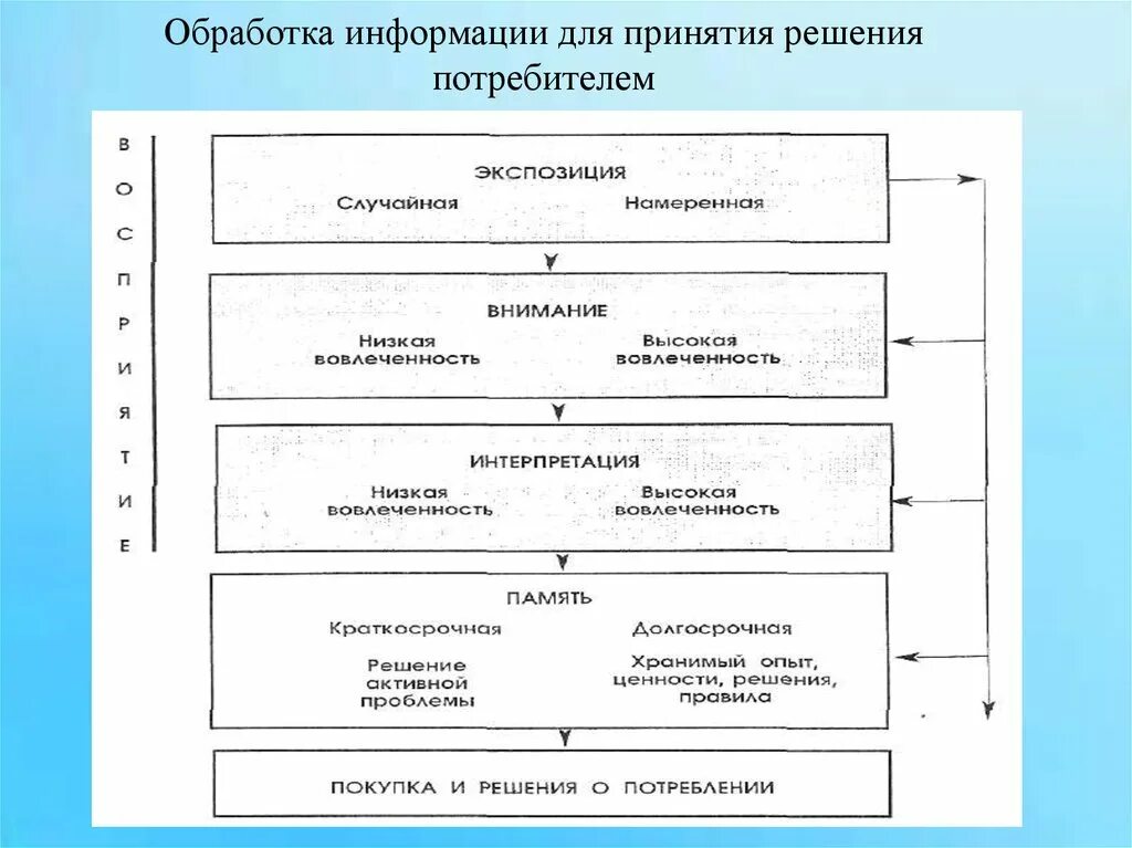 Подготовка информации для принятия решения. Модель процесса обработки информации. Процесс обработки информации для принятия потребительского решения. . Процесс обработки информации потребителем. Модель принятия решения о покупке.