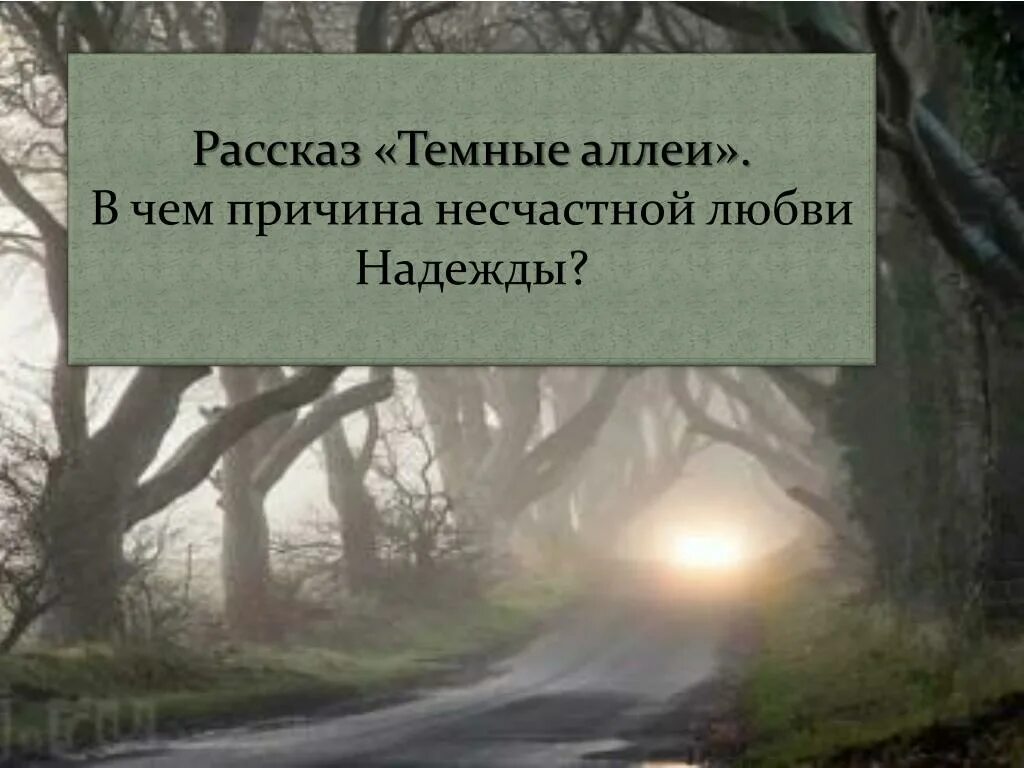 Кто вызывает сочувствие в рассказе темные аллеи. Темные аллеи. В чем причина несчастной любви надежды тёмные аллеи. Причина несчастной любви надежды темные аллеи.