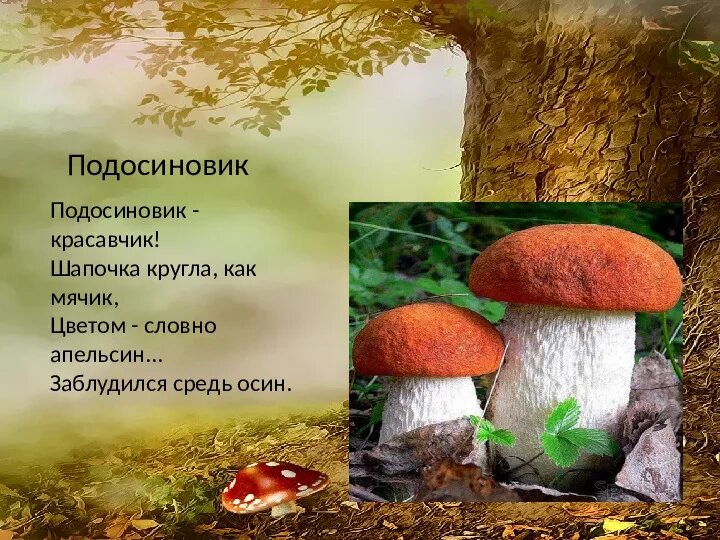 Составить предложение со словом грибница окружающий