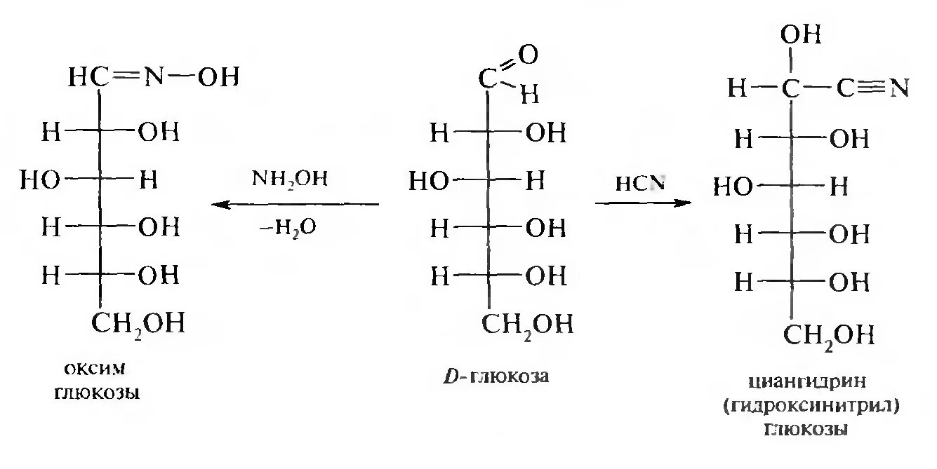 D глюкоза реакции. Взаимодействие Глюкозы с гидроксиламином. Реакция д Глюкозы с фенилгидразином. Озазон рибозы. Глюкоза и гидроксиламин.