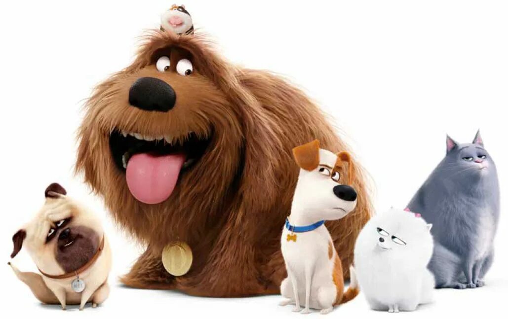 Secret Life of Pets. Гиджет Тайная жизнь домашних животных 2. Pets max