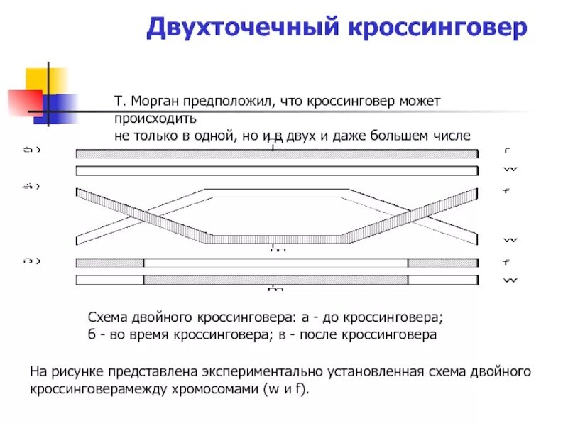 Задача без кроссинговера. Задача без кроссинговера