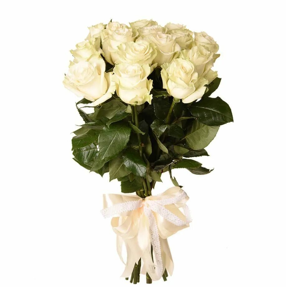 Букет роз 11 штук. Розы Мондиаль белые 15 штук. Букет 9 роз Мондиаль. 15 Штук розы Мондиаль.