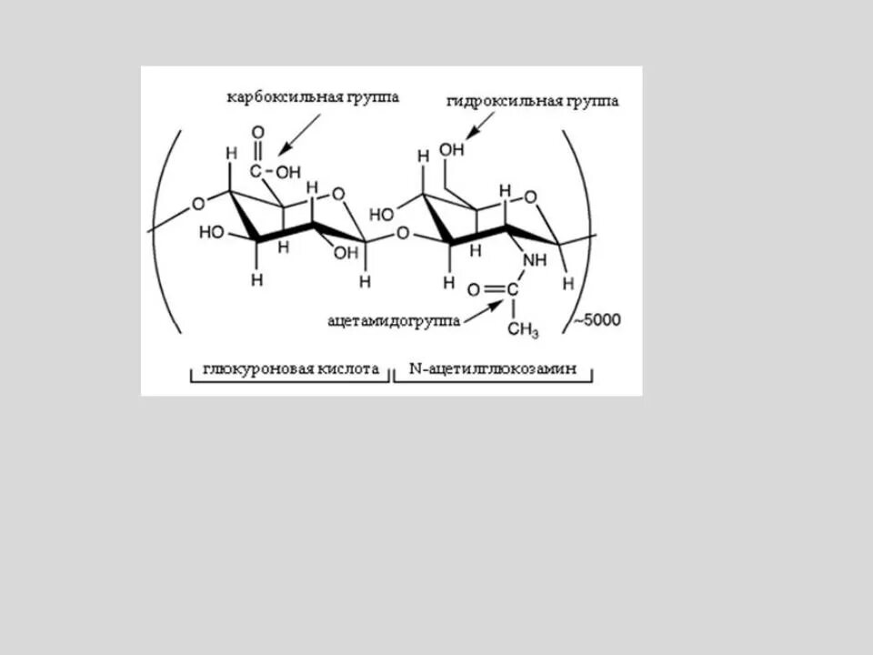 Гиалуроновая кислота что это такое. Гиалурованная кислота формула. Гиалуроновая кислота формула структурная. Строение фрагмента гиалуроновой кислоты. Гиалуроновая кислота формула.
