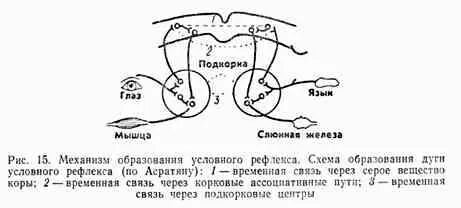 Нарисуй схему своей. Нарисуй схему своей