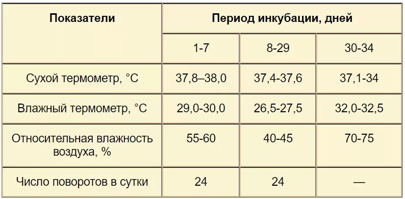 Какая температура утки. Таблица вывода яиц индоутки в инкубаторе. таблица инкубации мускусных утят. режим инкубации яиц мускусных уток таблица. таблица инкубации мускусных утиных яиц в инкубаторе.