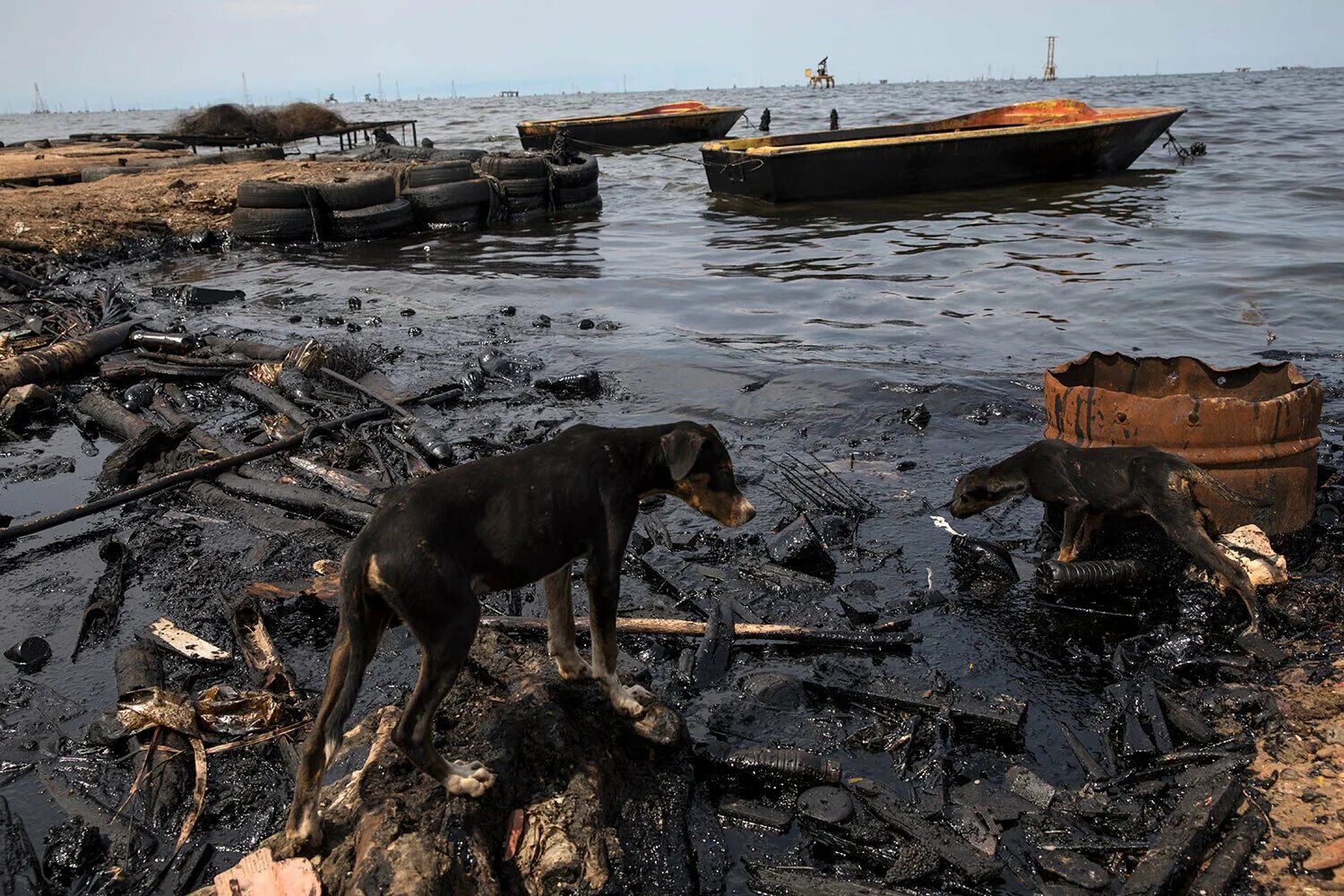 Озеро Маракайбо загрязнение. Загрязнение воды разлив нефти. Озеро Маракайбо нефть. Озеро Маракайбо в Венесуэле нефть.