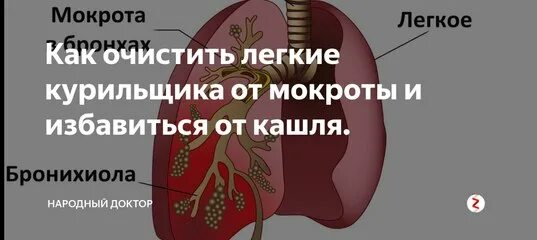 Бросил курить кашель замучил. Отхаркивание мокроты курильщика. Кашель курильщика с мокротой. Кашель с мокротой от курения.