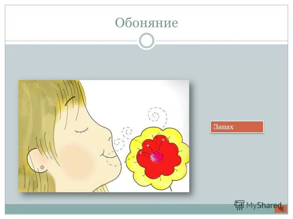 Восстановление обоняния. От какого запаха спасает отсутствие обоняния. Человек нюхает цветок. От какого запаха спасает отсутствие обоняния. Расстройства обоняния.