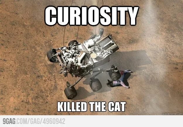 Curiosity Мем. Curiosity Killed the Cat. Curiosity любопытство. Марсоход Мем. Curiosity killed the