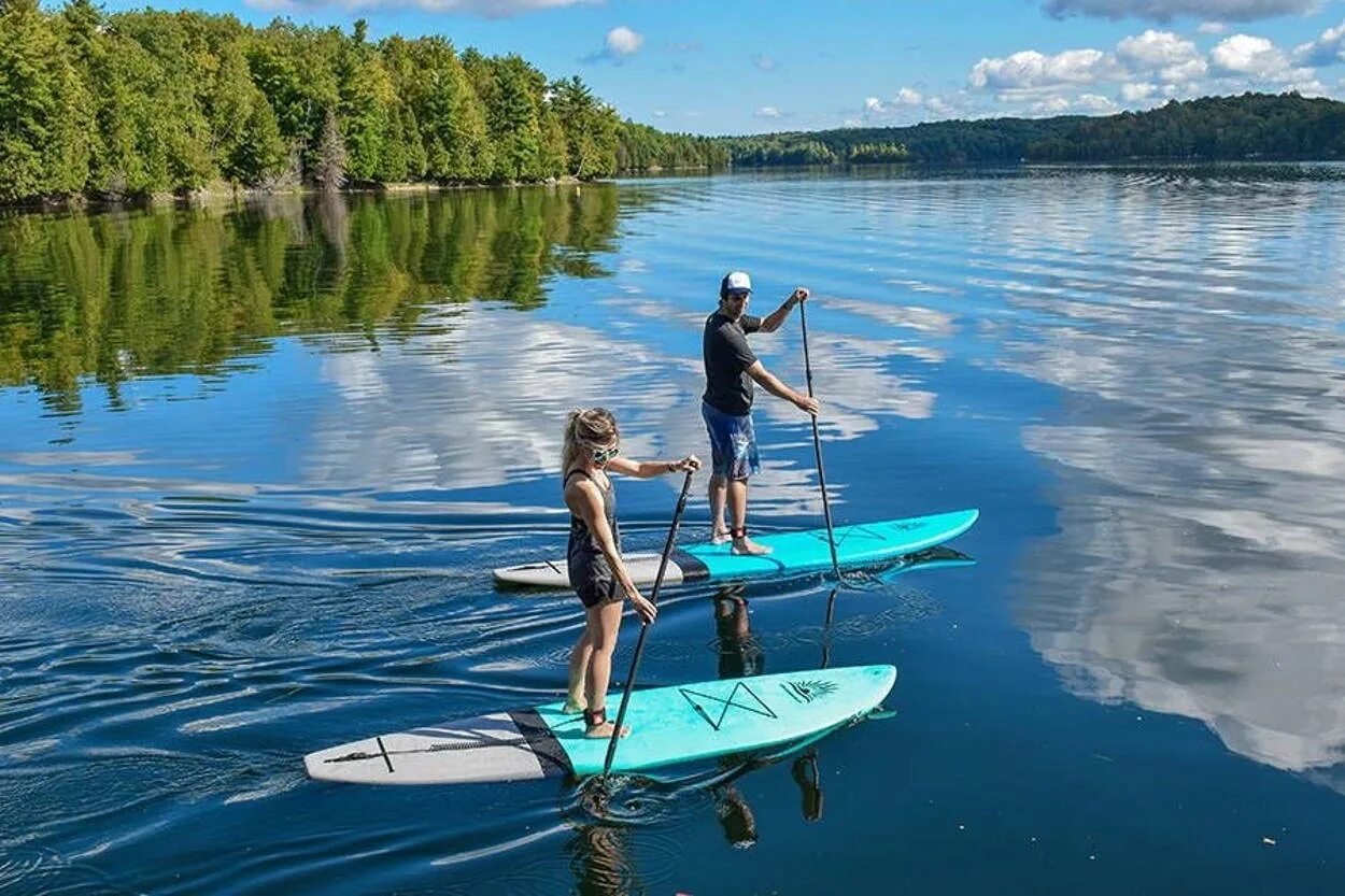 Paddle board