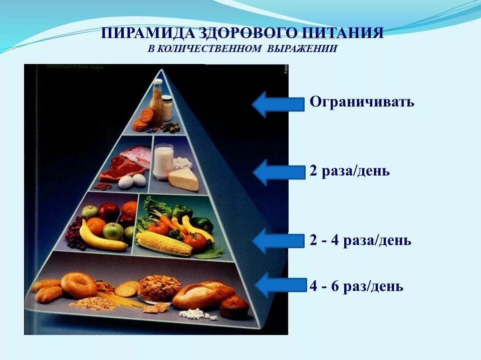 Основа пищевая