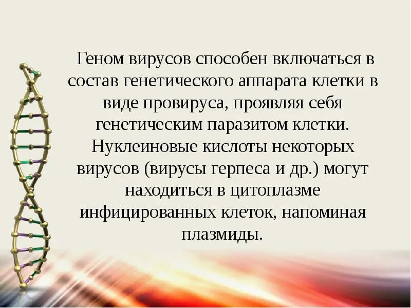 Структура генома вирусов. Организация генетического аппарата у вирусов. Особенности генетического аппарата вирусов. Организация генетического аппарата у вирусов. Организация генетического аппарата у вирусов.