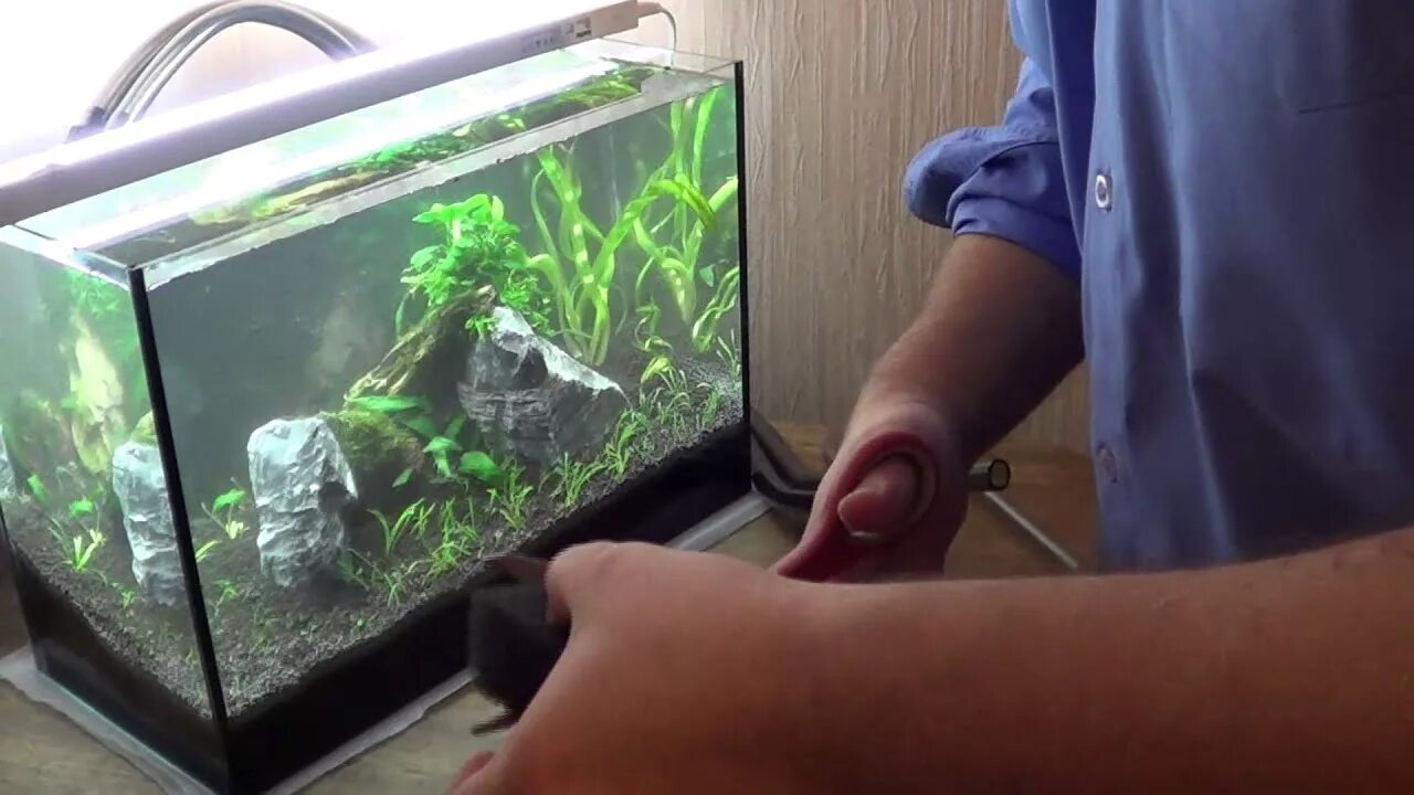 Отстоявшаяся вода для аквариума. Промывка в аквариуме. Залив воды в аквариум. Отстаивание воды для аквариума. Отстаивание воды для аквариума в ведрах.