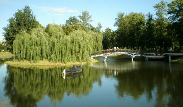 Брест 1 мая. Брестский парк. брестский парк спб. парки бреста. парк 1 мая.
