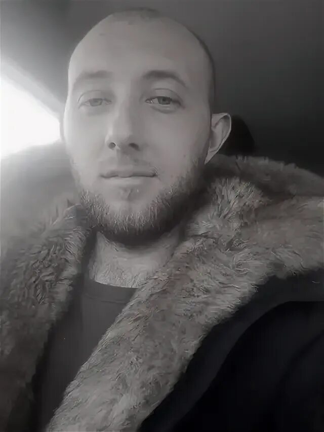 Вольф омск. Вольф омск. Сахаавтодор. Вольф омск. Вольф омск.