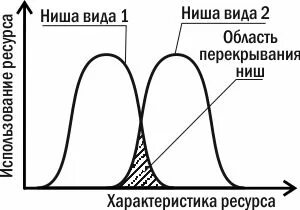 Перекрывание экологических ниш. Перекрытие экологических ниш. Перекрывание ниш примеры. Перекрывание экологических ниш примеры.