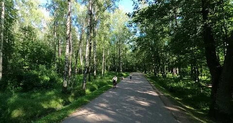 До удельного парка