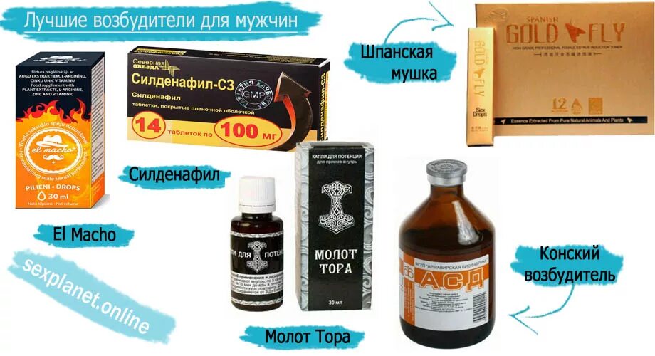 под конским возбудителям