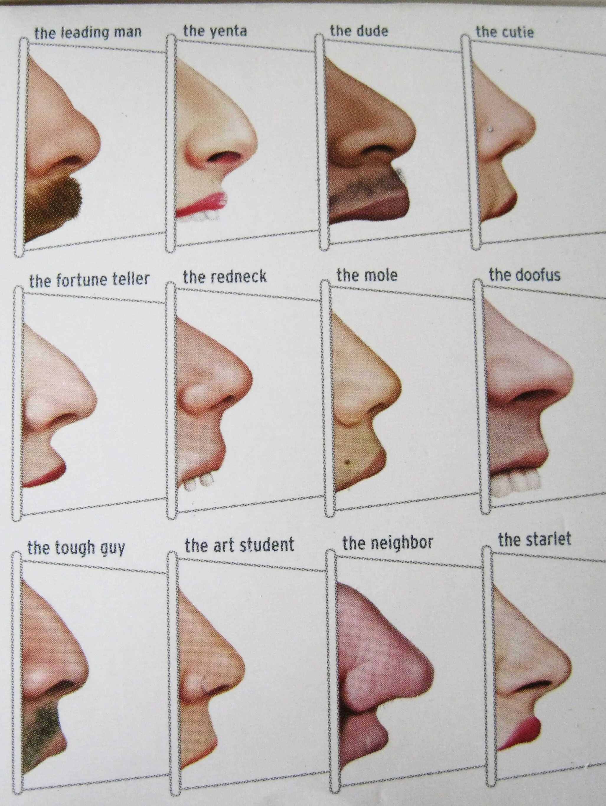Nose shapes