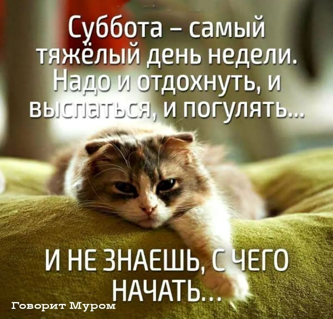 С ДОБРЫМ СЕНТЯБРЬСКИМ УТРОМ! - Просто ДОБРОЕ УТРО , пользователь Людмила Феденюк